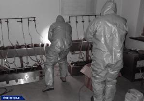 Realizacja projektu polsko-islandzkiego przez CBŚP