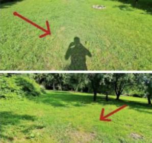  [VIDEO] Stanisław Cz. oficjalnie odwołany z funkcji Wójta Gminy Trzeszczany! Tymczasem proboszcz - sądowy kłamczuch - Marek Barszczowski, zrugał wczoraj wiernych, broniąc prawomocnie skazanego przestępcy!