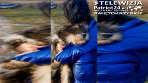 [VIDEO] Wyrzucił psa z auta. Policjant nagrał video. Został pociągnięty do odpowiedzialności