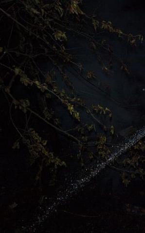 Uratowani z płonącego pod Wrocławiem domu