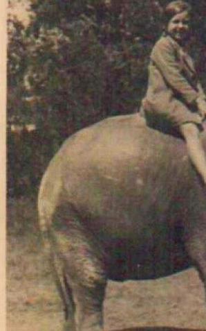 Zoo zbiera pamiątki przed jubileuszem