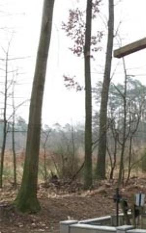 Dziś Pogrzeb Stu Straconych