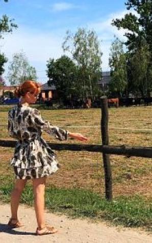 Skradzione bydło w miejscowości Bedoń Nowy w woj. łódzkim. Pokrzywdzony farmer prosi o pomoc ekipę Krzysztofa Rutkowskiego!