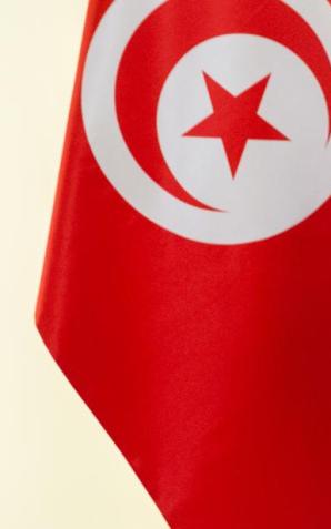 Polsko-tunezyjskie konsultacje polityczne