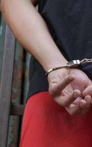 Jaki pan taki pies. Pani weterynarz w szpitalu