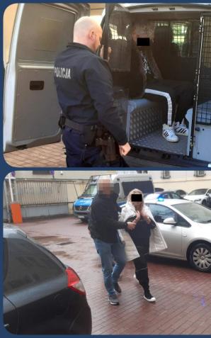 [VIDEO] Sfingowali śmierć w wypadkach samochodowych na terenie USA i brali za to wysokie odszkodowania