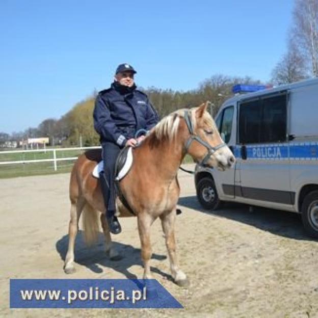 Koń do walki z narkotykami i alkoholem 