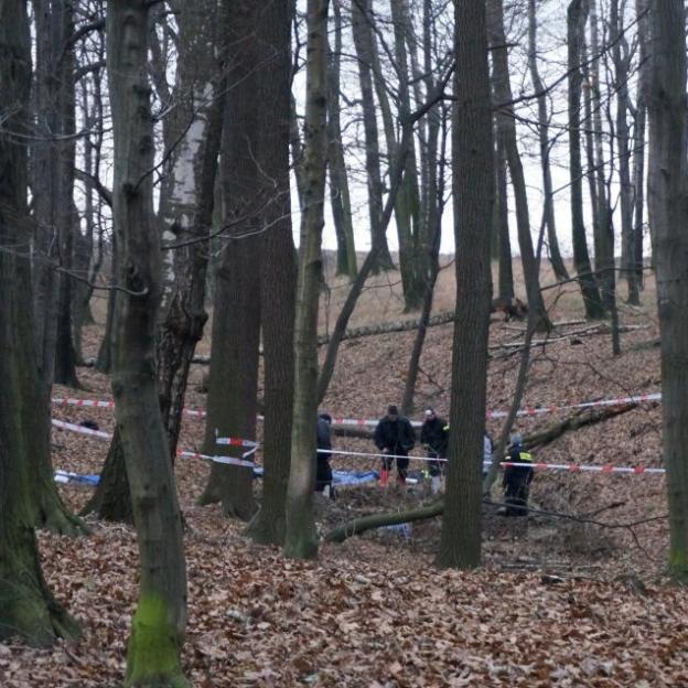 [VIDEO] Rutkowski: Nasze agentki trafnie wskazały sprawców zabójstwa 23-letniego Michała Kopycińskiego. Zwłoki odnalezione zostały w lesie