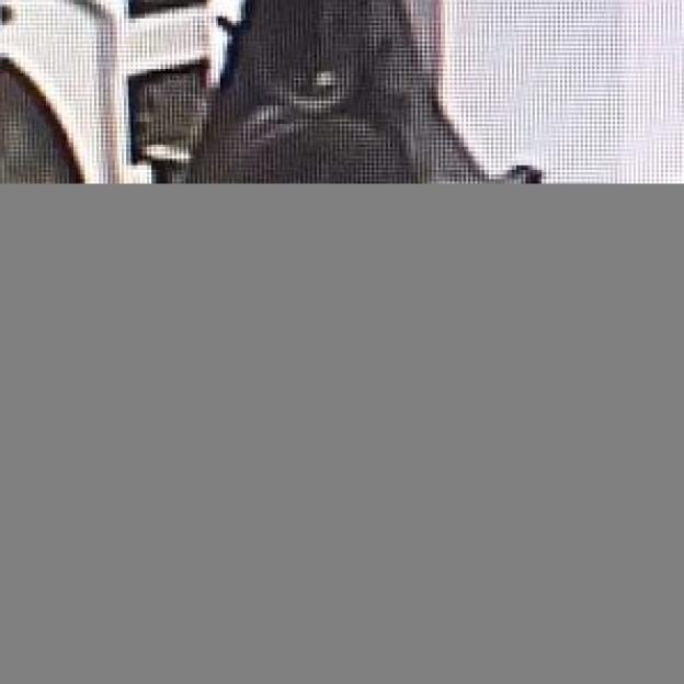 [VIDEO] Ukradli kościelne skarbonki z pieniędzmi. Ale na ich drodze stanęła Siostra Zakonna! 