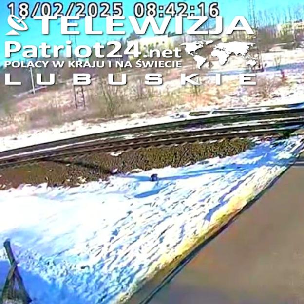 [VIDEO] Świebodzin: kierowca wjechał w bok pociągu