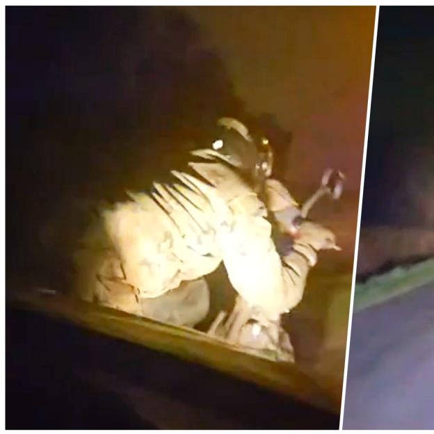 [VIDEO] Uciekał motorowerem przed trzebnickimi policjantami. 28-latek był nietrzeźwy i posiadał zakaz prowadzenia pojazdów mechanicznych