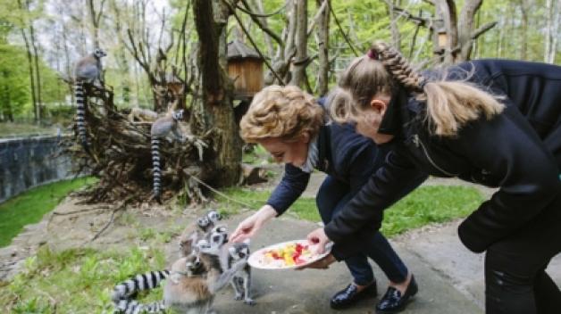 Imieniny lemura Juliana