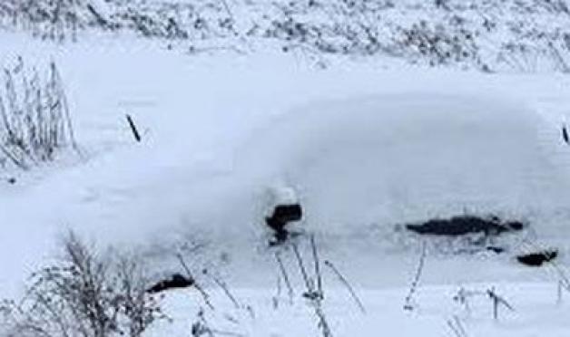 Zgłosiła policji kradzież samochodu, który przysypał śnieg!