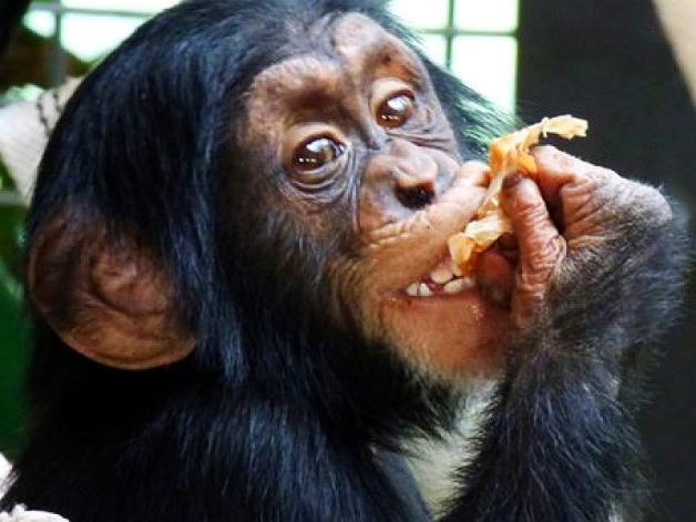 Warszawa: Trzecie urodziny Tytusa