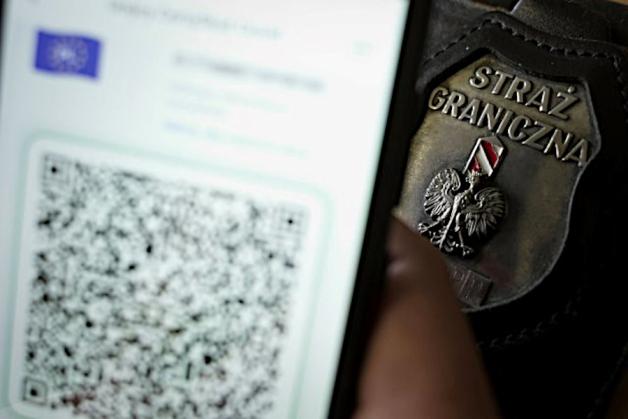 Fałszywe dokumenty pobytowe i unijne certyfikaty COVID na granicy państwa. Zatrzymano czterech obywateli Ukrainy a także dwóch Syryjczyków z fałszywymi włoskimi dokumentami