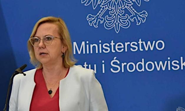 Minister Anna Moskwa przed nadzwyczajnym spotkaniem ministrów ds. energii UE