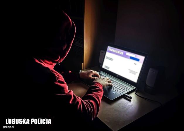 Oszust internetowy skasowany