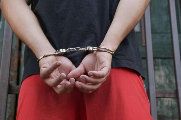 Jaki pan taki pies. Pani weterynarz w szpitalu